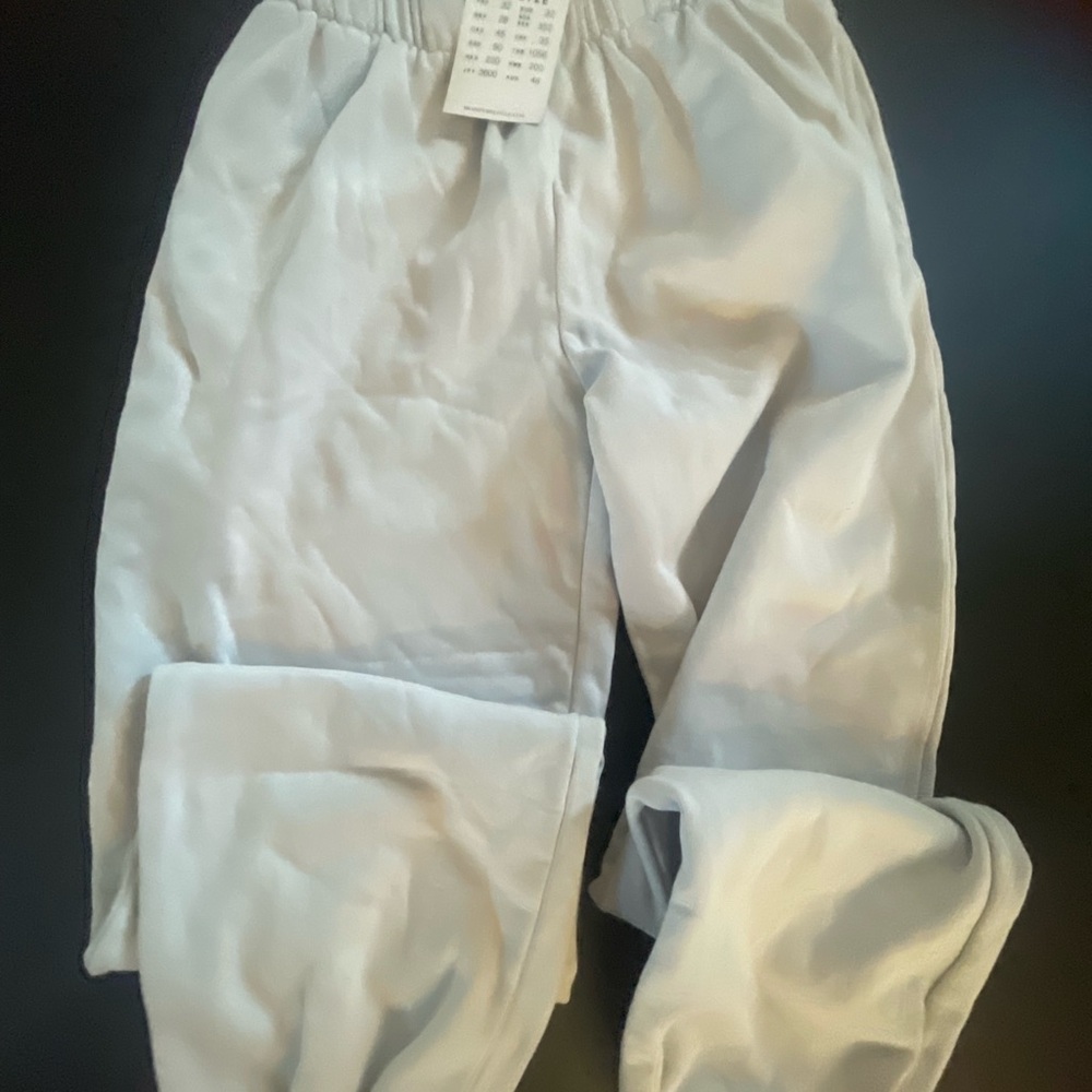 Brandy Melville Rosa Sweatpants light blue NWT